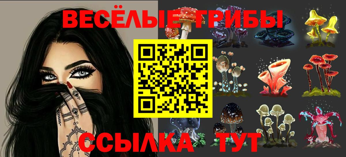 цены наркотик  Вход с VPN  Ханты-Мансийск  Галлюциногенные грибы мухоморы  Галлюциногенные грибы Psilocybe 
